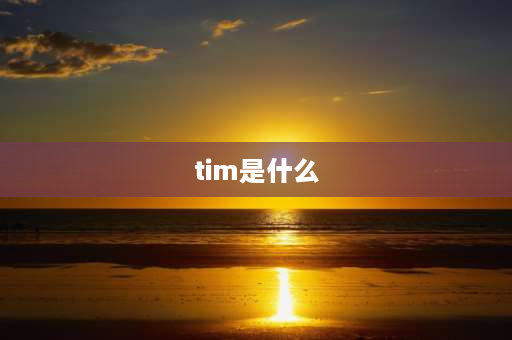 tim是什么 步进驱动器上tim是什么？