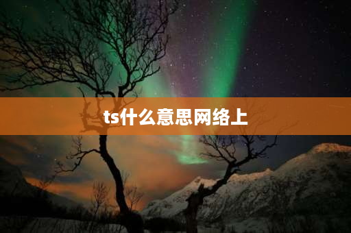 ts什么意思网络上 ts什么意思网络用语？