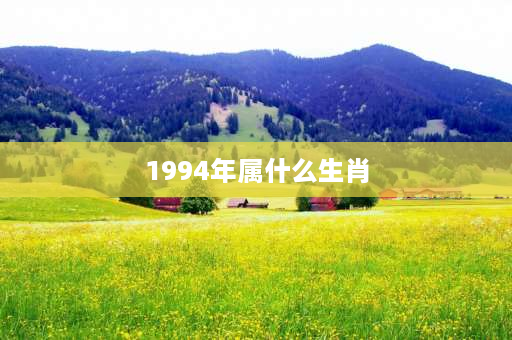 1994年属什么生肖 94年是壬戌年吗？