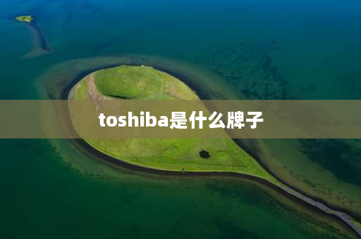 toshiba是什么牌子 toshiba是什么牌子？