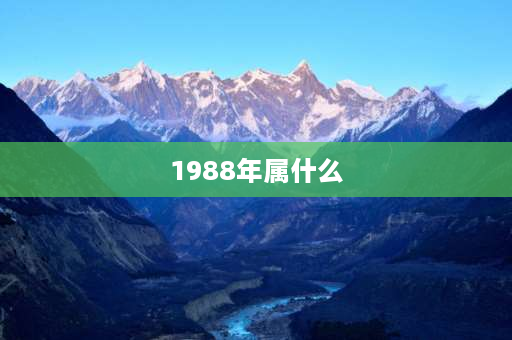 1988年属什么 1988年是属龙吗？