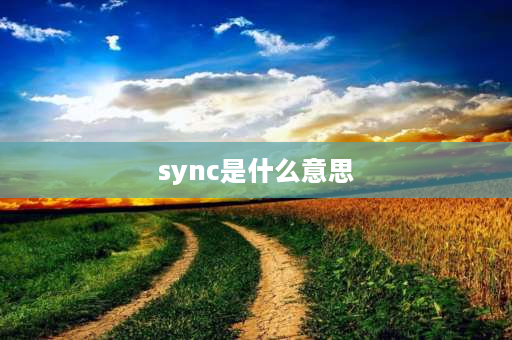 sync是什么意思 sync是什么意思车上的？