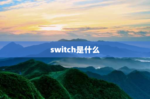 switch是什么 switch是什么属性？