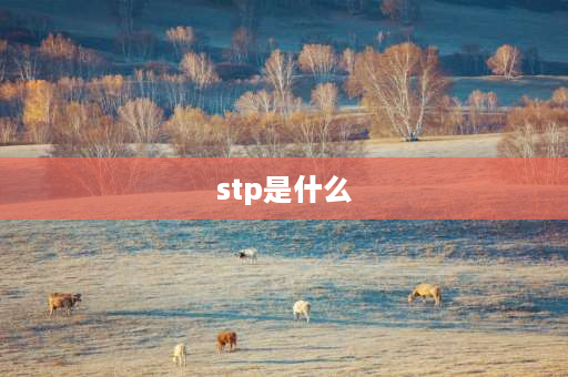 stp是什么 简单的概述STP管理？