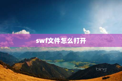 swf文件怎么打开 SWF是什么文件，用什么打开？