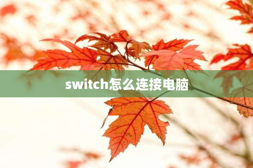 switch怎么连接电脑 switch怎么连雷电接口电脑？