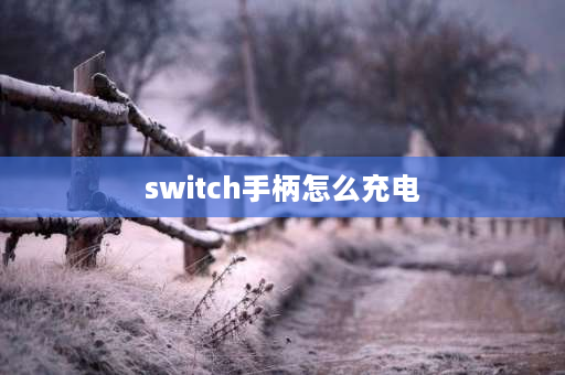 switch手柄怎么充电 switch手柄怎么充电？