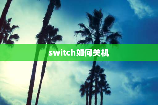 switch如何关机 switch怎么关机？