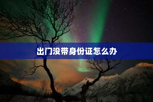 出门没带身份证怎么办 出门旅行忘带身份证怎么办？