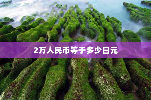 2万人民币等于多少日元 30万日元在日本什么水平？