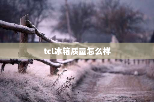 tcl冰箱质量怎么样 【TCL冰箱】TCL冰箱怎么样？TCL冰箱质量怎么样？