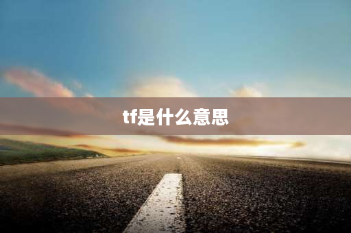 tf是什么意思 TF表示什么？