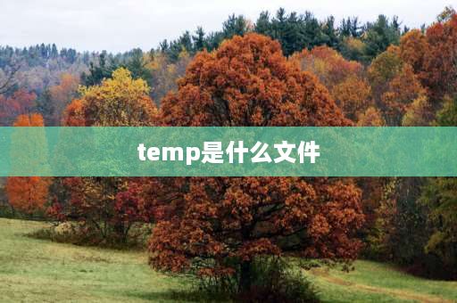 temp是什么文件 e盘有个temp文件夹是什么？