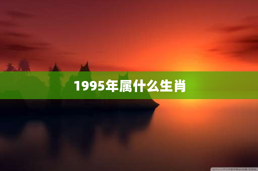 1995年属什么生肖 1995年有属相狗的吗？