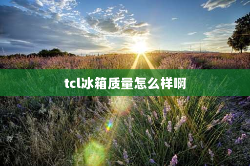 tcl冰箱质量怎么样啊 tcl409冰箱质量怎么样？