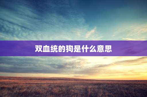 双血统的狗是什么意思 双血统马犬是什么意？双血统马犬是什么意思？