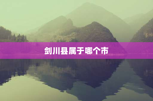 剑川县属于哪个市 云南剑川木雕特点？