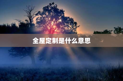 全屋定制是什么意思 整装和全屋定制的区别是什么？