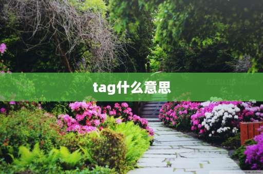 tag什么意思 Tag是什么意思？