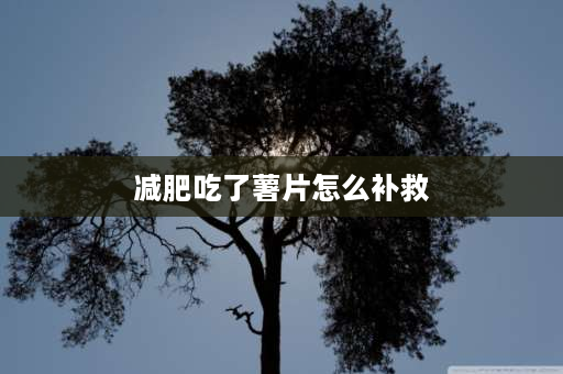 减肥吃了薯片怎么补救 一包薯片和一碗饭，哪个更容易胖？