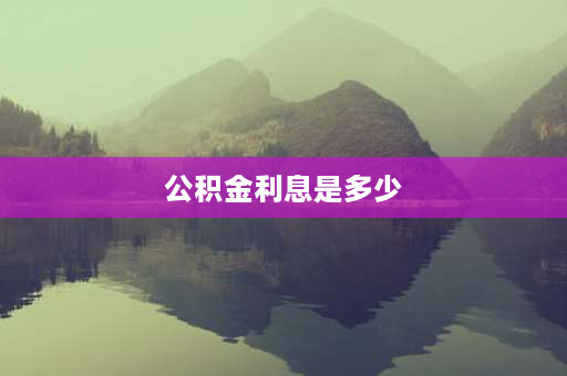 公积金利息是多少 公积金利息从哪里看？