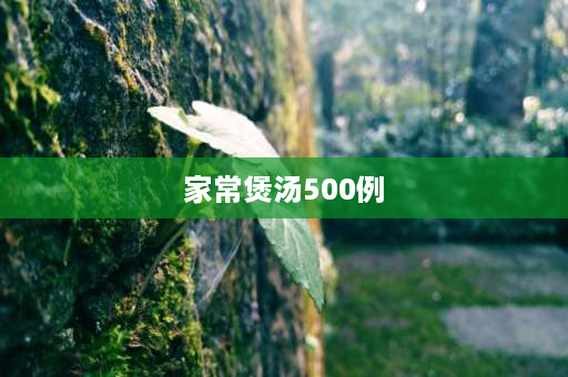 家常煲汤500例 鲤鱼炖汤家常做法？