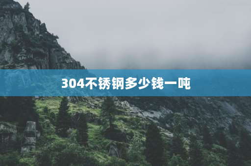 304不锈钢多少钱一吨 304不锈钢板材一吨多少平米？