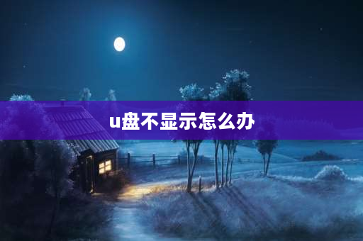 u盘不显示怎么办 u盘不显示修复u盘方法？