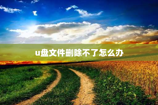 u盘文件删除不了怎么办 u盘文件出现错误删不掉怎么办？