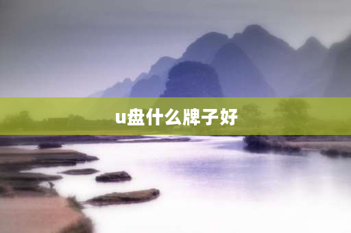 u盘什么牌子好 买U盘哪个牌子比较好？