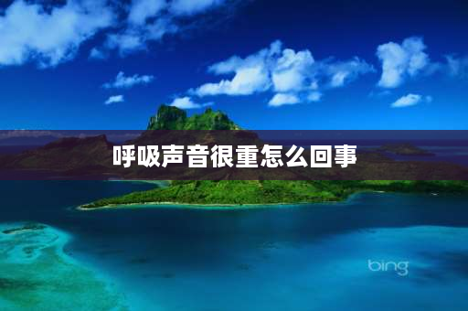 呼吸声音很重怎么回事 唱歌的时候为什么吸气的声音这么大？