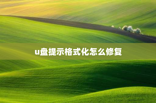 u盘提示格式化怎么修复 移动u盘提示需要格式化怎么修复？