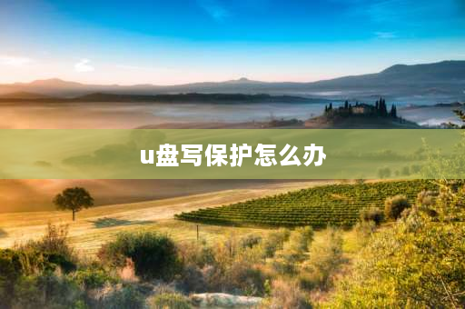 u盘写保护怎么办 U盘被某软件写保护怎样解除？