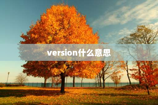 version什么意思 version可数吗？