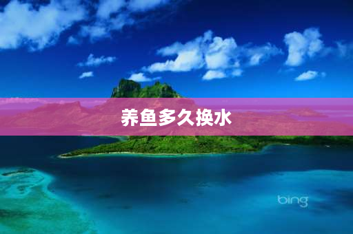 养鱼多久换水 养鱼多长时间换水一次？