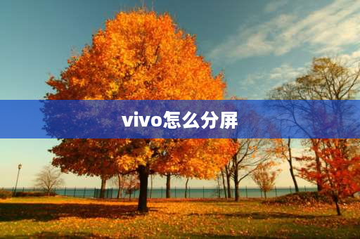 vivo怎么分屏 vivo怎么使用分屏功能？