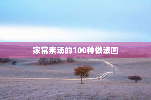 家常素汤的100种做法图 家常素菜汤的做法？