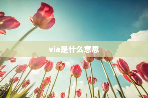 via是什么意思 SE什么意思？