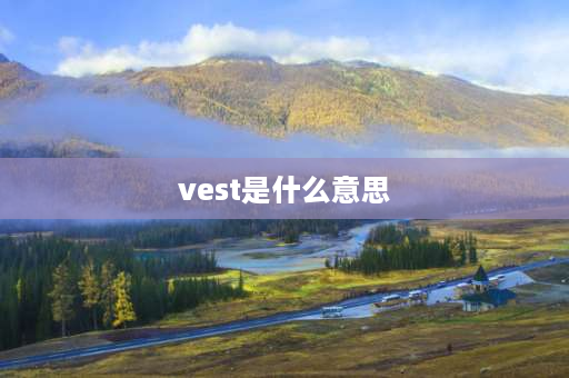 vest是什么意思 请问英语vest啥意思？