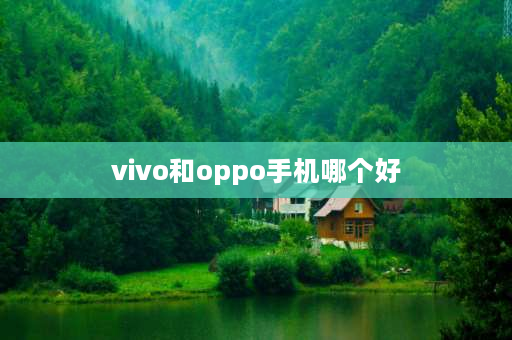 vivo和oppo手机哪个好 vivo和oppo哪个好？