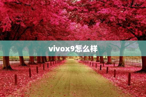 vivox9怎么样 vivox9是lcd还是oled？