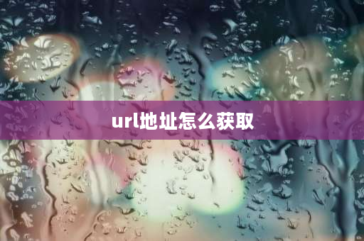 url地址怎么获取 怎么找到某网站的URL？