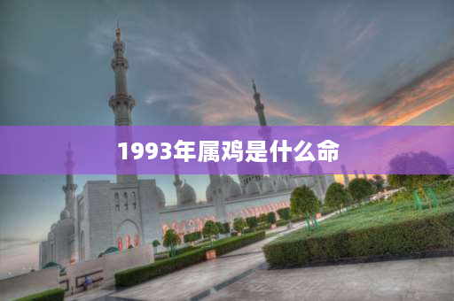 1993年属鸡是什么命 93年正月出生月份属什么？