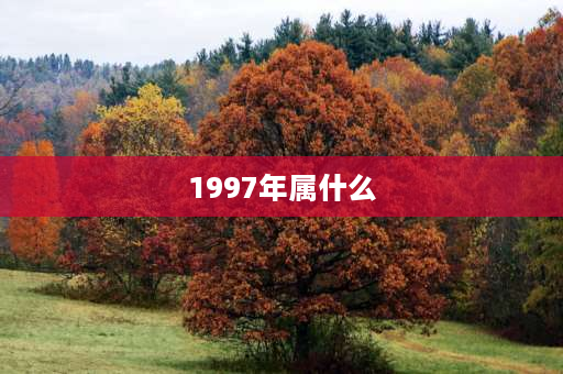 1997年属什么 1997年农历10月出生月份属什么？