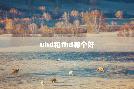 uhd和fhd哪个好 UHD和FHD哪个好？