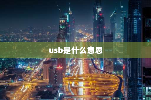 u**是什么意思 别人都说USB，请问USB是什么意思？