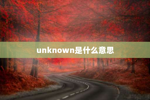 unknown是什么意思 unknown中文意思？