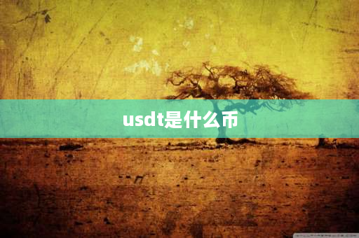 usdt是什么币 usdt能换什么国家的