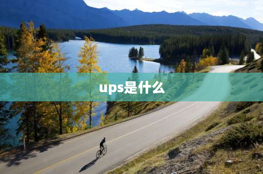 ups是什么 什么是UPS，意思是？