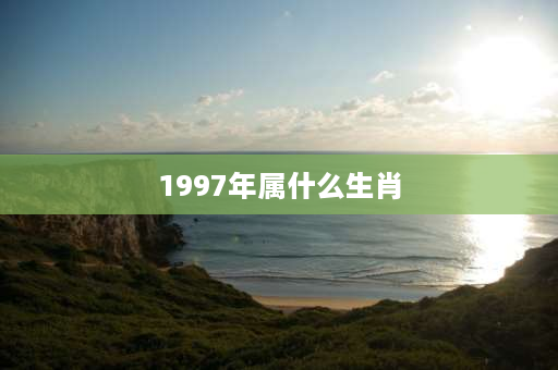 1997年属什么生肖 1997年是什么年？